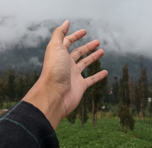 Apa Cuma Butuh Kesempatan ?